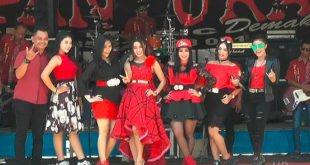 Daftar Artis Dangdut Pantura Dan Tarif Orkes Melayu Om Adella Dll