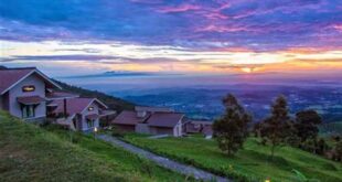 Villa Pondok Kopi Umbul Sidomukti