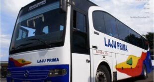 Gambar Bus Laju Prima