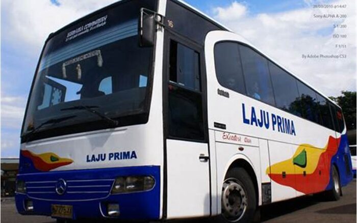 Gambar Bus Laju Prima